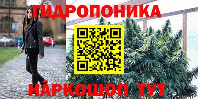 ГАЛЛЮЦИНОГЕННЫЕ ГРИБЫ Гусев